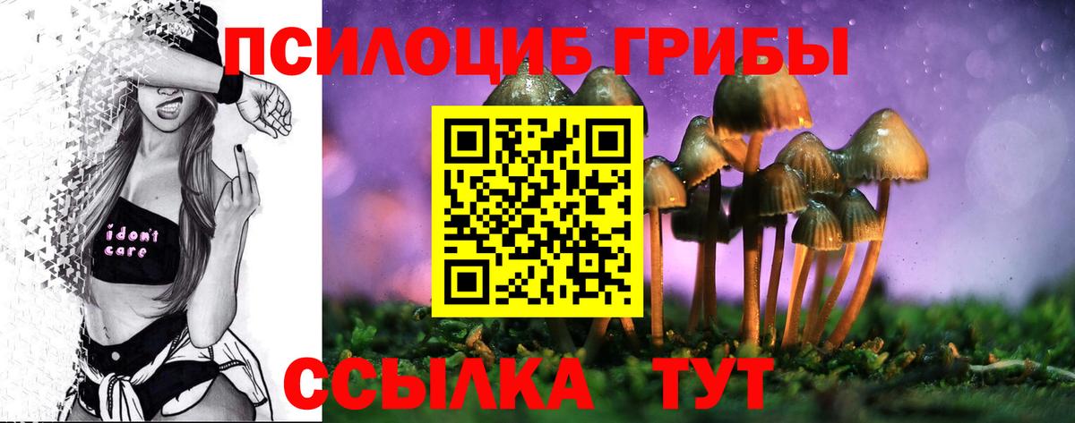 Галлюциногенные грибы Magic Shrooms  Вход с VPN  Выборг  где купить наркоту  Псилоцибиновые грибы Magic Shrooms 