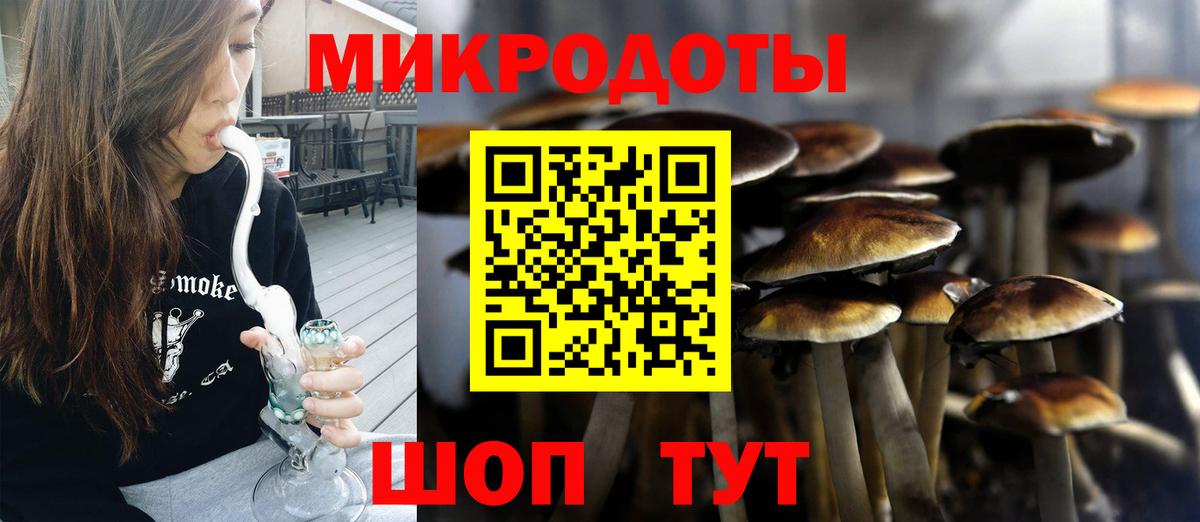 Галлюциногенные грибы мухоморы Выборг