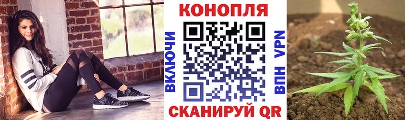 Марихуана гибрид  Выборг 